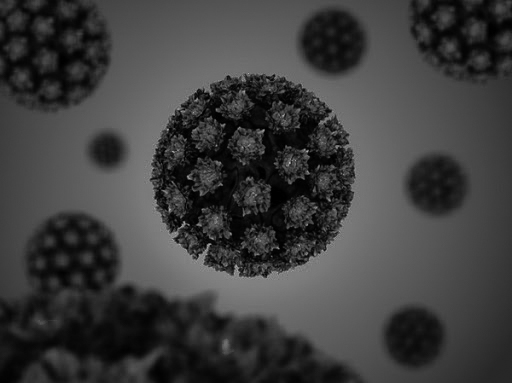 HPV – Human Papilloma Virus – quanto ne sai?